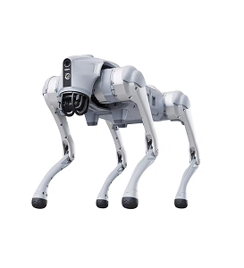 Robot Kits